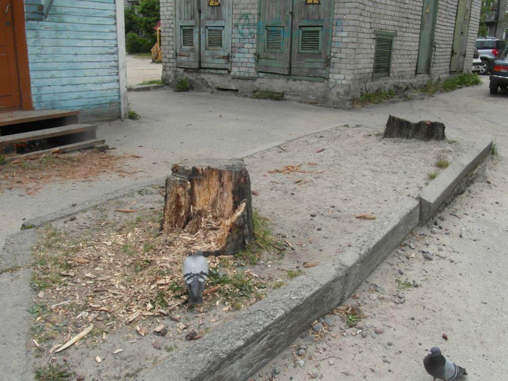 Н. Мяки